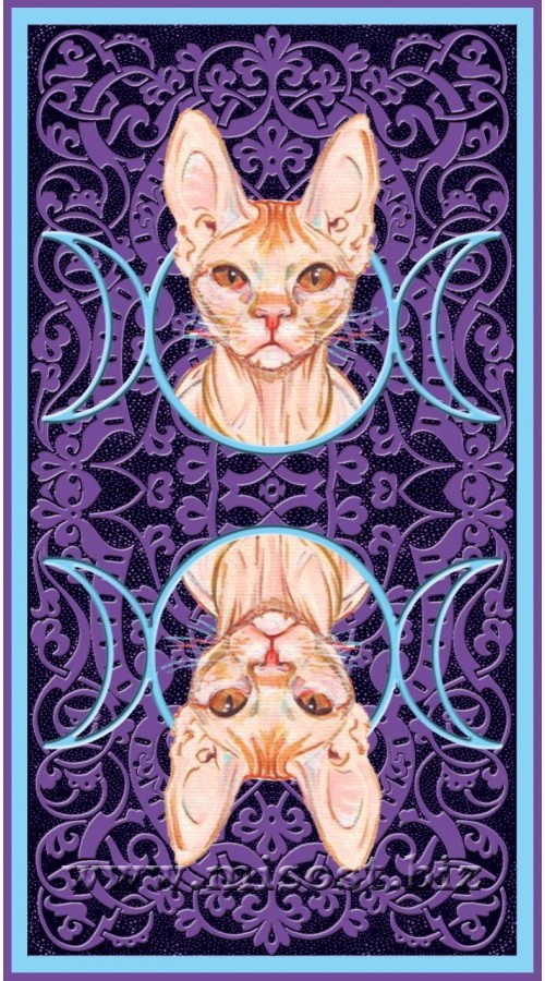 Таро Языческих Кошек (Tarot of Pagan Cats)