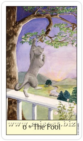 Таро Кошачий Взгляд (Cat's Eye Tarot)