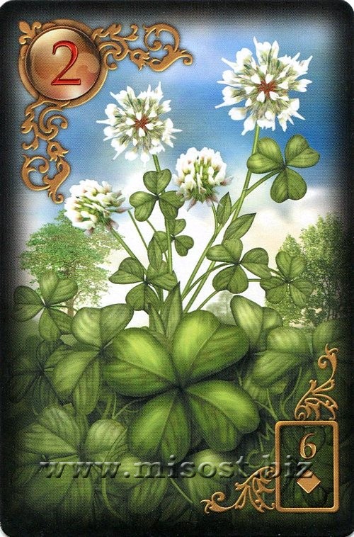 Gilded Reverie Lenormand. Ciro Marchetti