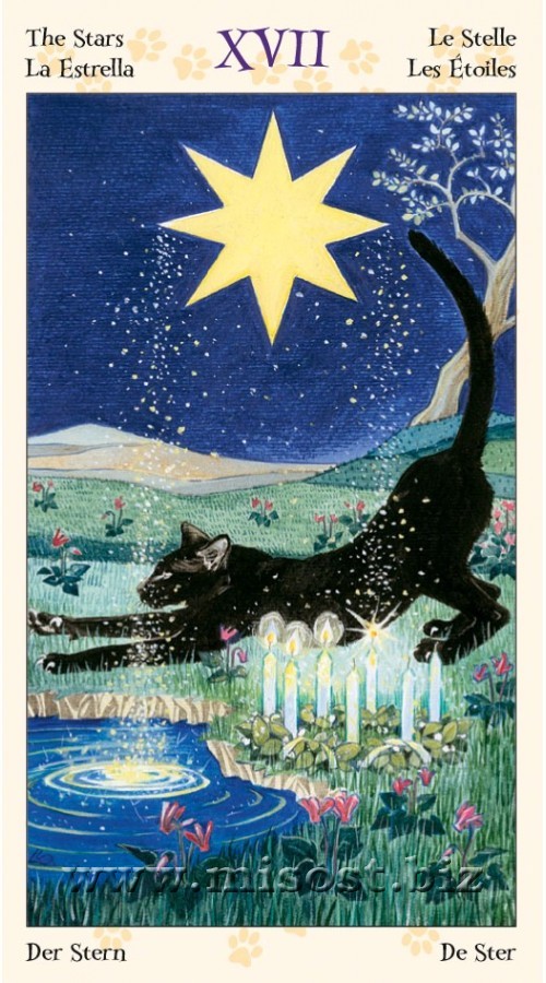 Мини Таро Языческих Кошек (Tarot of Pagan Cats)