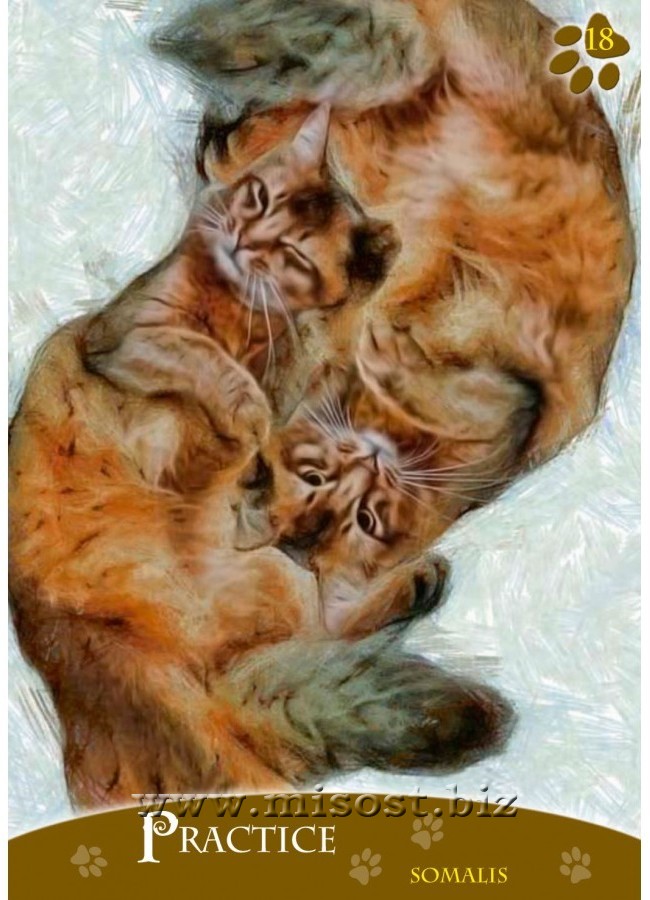 Оракул Кошек (Cats Inspirational Oracle Cards)