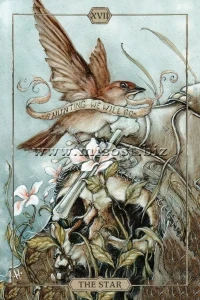 Таро Тишины (Hush Tarot) by Jeremy Hush