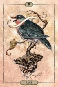 Таро Тишины (Hush Tarot) by Jeremy Hush