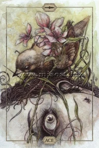 Таро Тишины (Hush Tarot) by Jeremy Hush